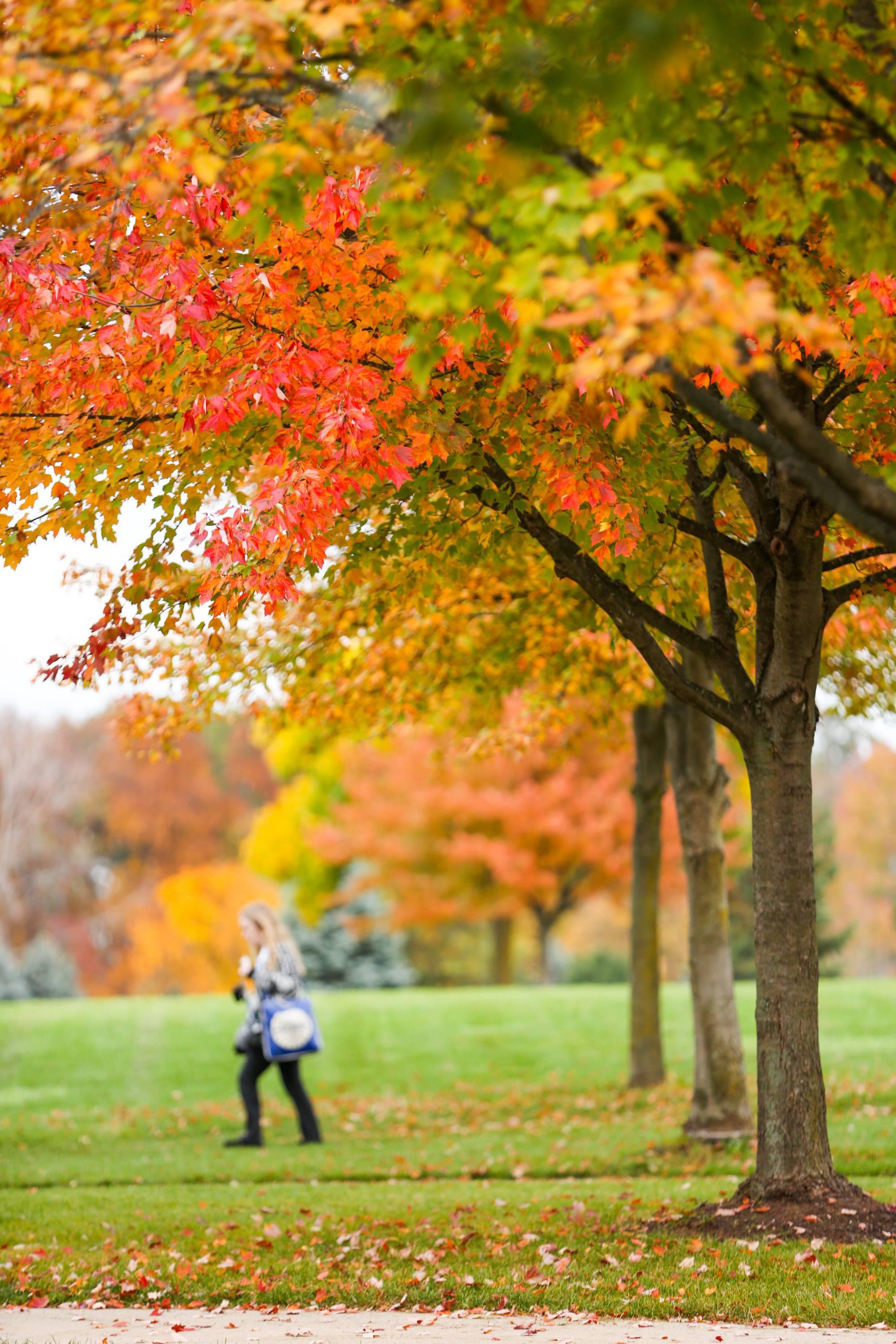 Tablet Fall Colors